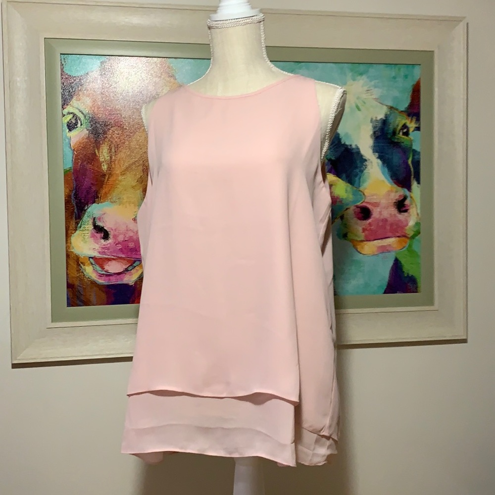 Sheer blouse